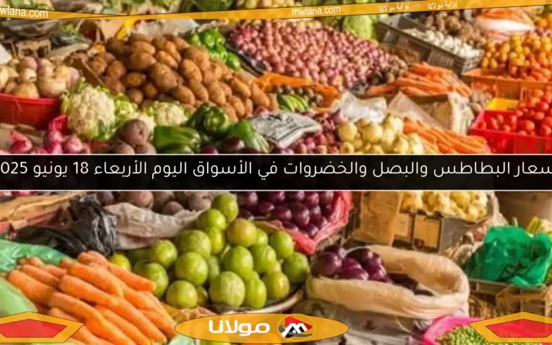 أسعار البطاطس والبصل والخضروات في الأسواق اليوم الأربعاء 18 يونيو 2025