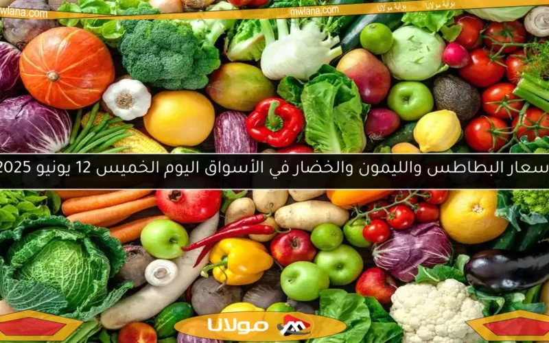 أسعار البطاطس والليمون والخضار في الأسواق اليوم الخميس 12 يونيو 2025