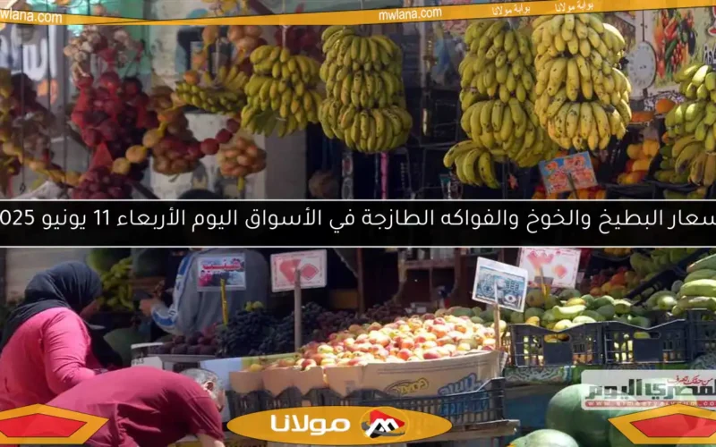 أسعار البطيخ والخوخ والفواكه الطازجة في الأسواق اليوم الأربعاء 11 يونيو 2025