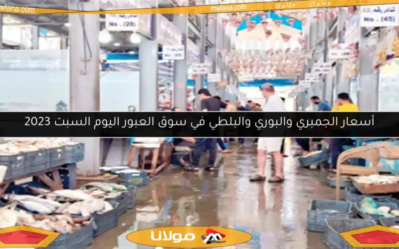 أسعار الجمبري والبوري والبلطي في سوق العبور اليوم السبت 2023