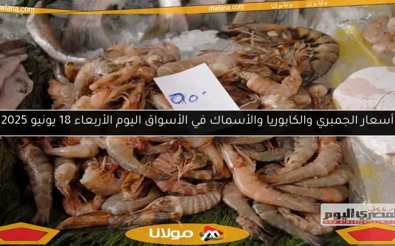 أسعار الجمبري والكابوريا والأسماك في الأسواق اليوم الأربعاء 18 يونيو 2025