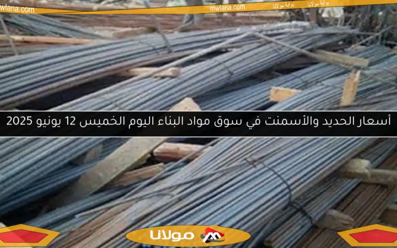 أسعار الحديد والأسمنت في سوق مواد البناء اليوم الخميس 12 يونيو 2025