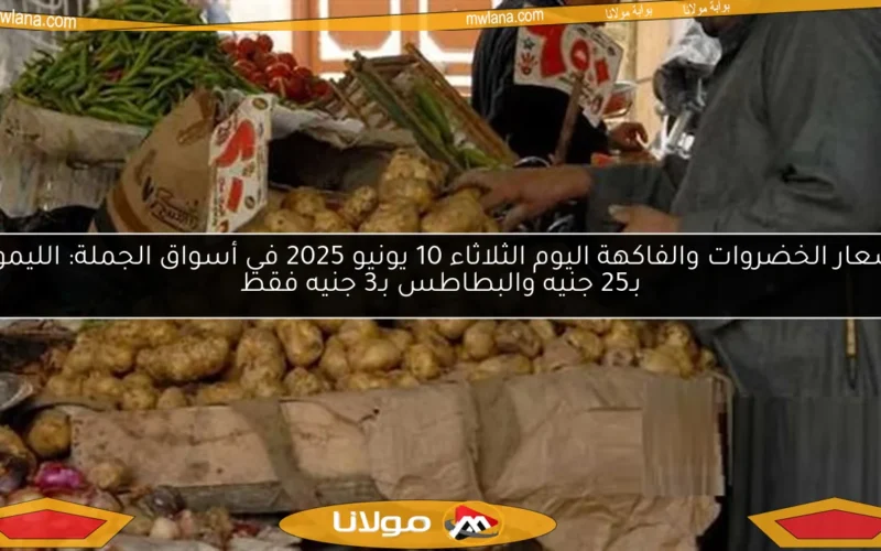 أسعار الخضروات والفاكهة اليوم الثلاثاء 10 يونيو 2025 في أسواق الجملة: الليمون بـ25 جنيه والبطاطس بـ3 جنيه فقط