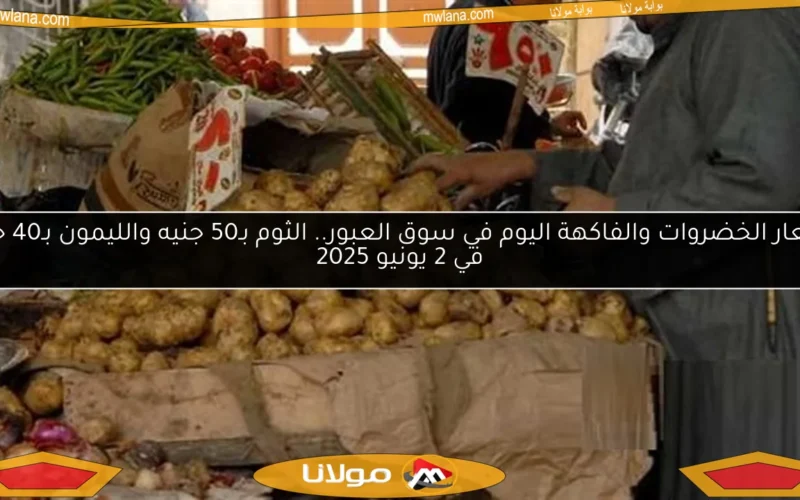 أسعار الخضروات والفاكهة اليوم في سوق العبور.. الثوم بـ50 جنيه والليمون بـ40 جنيه في 2 يونيو 2025