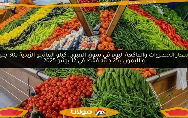 أسعار الخضروات والفاكهة اليوم في سوق العبور.. كيلو المانجو الزبدية بـ30 جنيه والليمون بـ25 جنيه فقط في 12 يونيو 2025