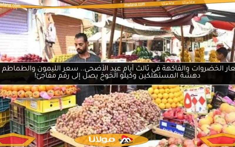 أسعار الخضروات والفاكهة في ثالث أيام عيد الأضحى.. سعر الليمون والطماطم يثير دهشة المستهلكين وكيلو الخوخ يصل إلى رقم مفاجئ!