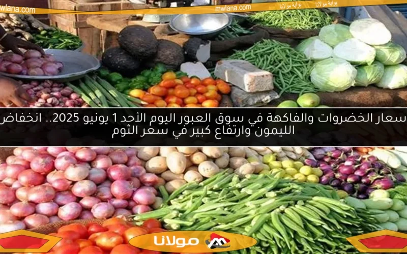 أسعار الخضروات والفاكهة في سوق العبور اليوم الأحد 1 يونيو 2025.. انخفاض الليمون وارتفاع كبير في سعر الثوم