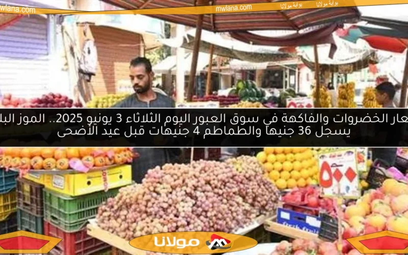 أسعار الخضروات والفاكهة في سوق العبور اليوم الثلاثاء 3 يونيو 2025.. الموز البلدي يسجل 36 جنيها والطماطم 4 جنيهات قبل عيد الأضحى