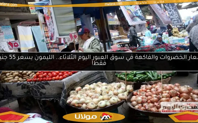 أسعار الخضروات والفاكهة في سوق العبور اليوم الثلاثاء.. الليمون بسعر 55 جنيهًا فقط!