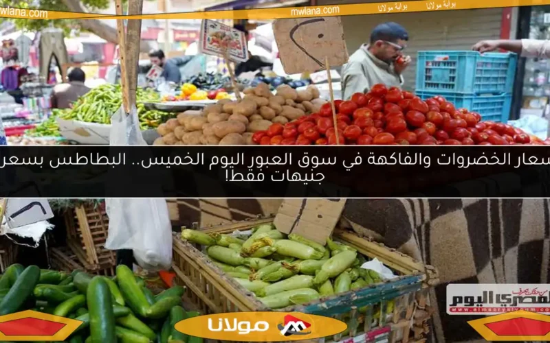 أسعار الخضروات والفاكهة في سوق العبور اليوم الخميس.. البطاطس بسعر 7 جنيهات فقط!