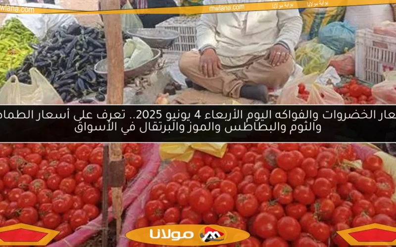 أسعار الخضروات والفواكه اليوم الأربعاء 4 يونيو 2025.. تعرف على أسعار الطماطم والثوم والبطاطس والموز والبرتقال في الأسواق