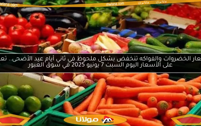 أسعار الخضروات والفواكه تنخفض بشكل ملحوظ في ثاني أيام عيد الأضحى.. تعرف على الأسعار اليوم السبت 7 يونيو 2025 في سوق العبور