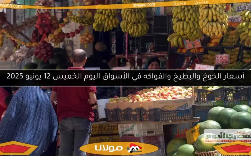 أسعار الخوخ والبطيخ والفواكه في الأسواق اليوم الخميس 12 يونيو 2025