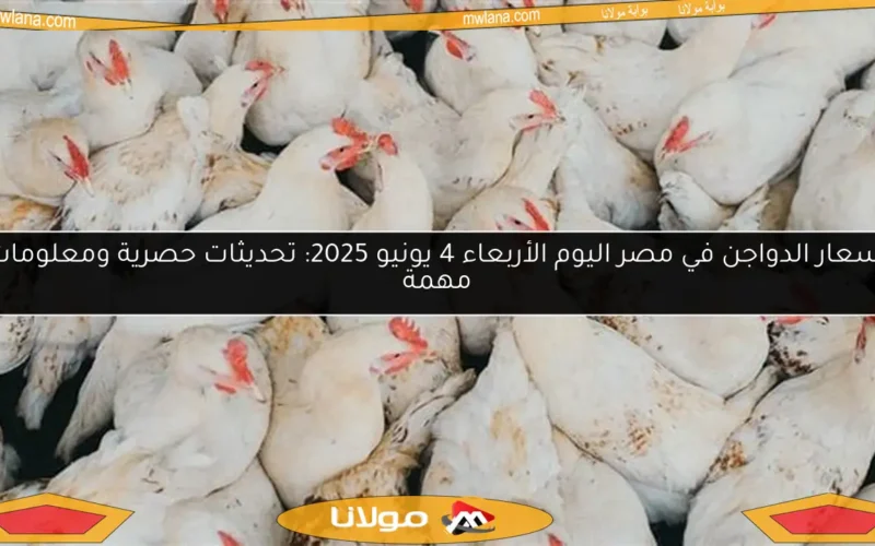 أسعار الدواجن في مصر اليوم الأربعاء 4 يونيو 2025: تحديثات حصرية ومعلومات مهمة