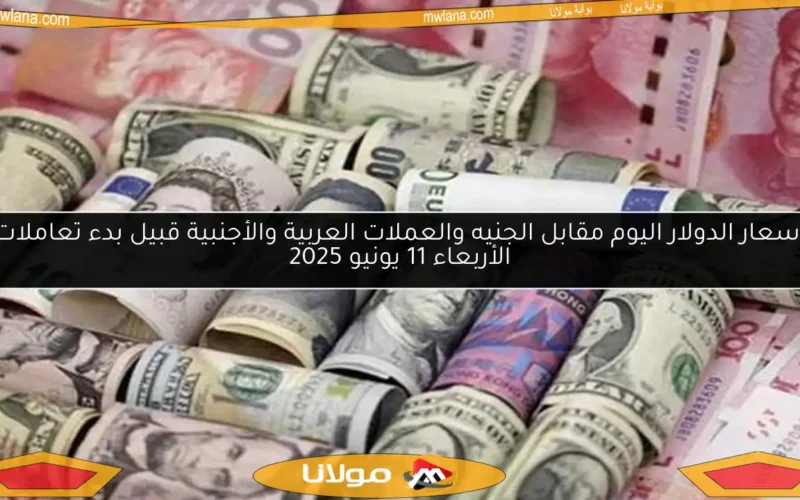 أسعار الدولار اليوم مقابل الجنيه والعملات العربية والأجنبية قبيل بدء تعاملات الأربعاء 11 يونيو 2025