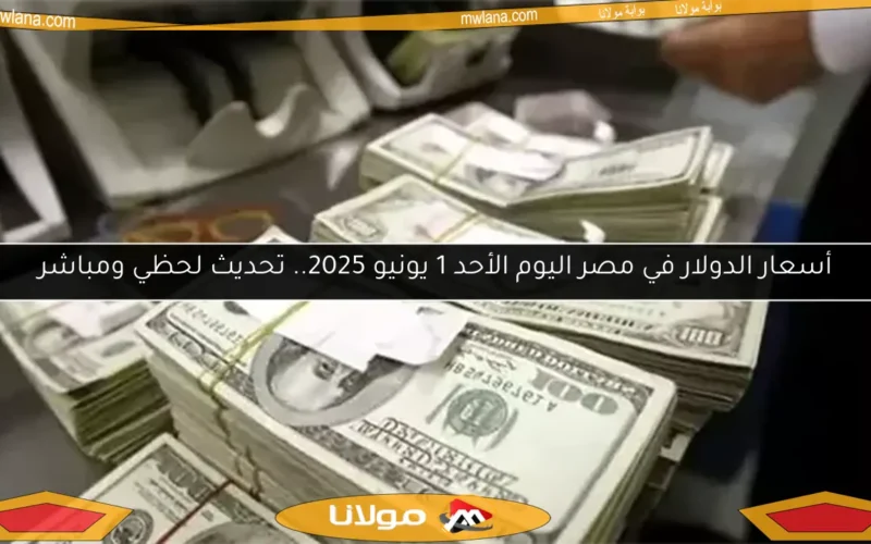 أسعار الدولار في مصر اليوم الأحد 1 يونيو 2025.. تحديث لحظي ومباشر