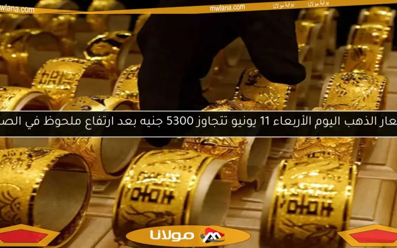 أسعار الذهب اليوم الأربعاء 11 يونيو تتجاوز 5300 جنيه بعد ارتفاع ملحوظ في الصاغة