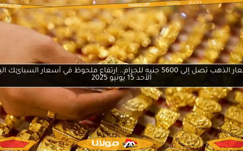 أسعار الذهب تصل إلى 5600 جنيه للجرام.. ارتفاع ملحوظ في أسعار السبائك اليوم الأحد 15 يونيو 2025