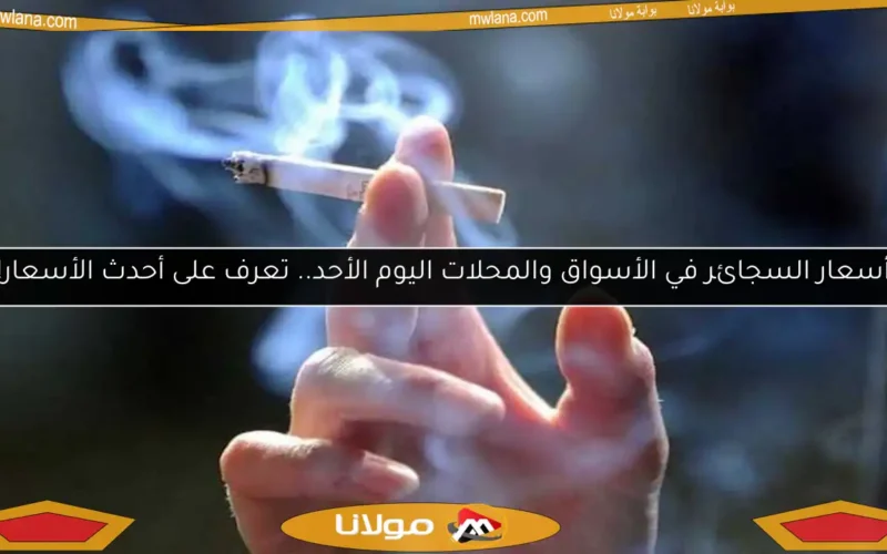 أسعار السجائر في الأسواق والمحلات اليوم الأحد.. تعرف على أحدث الأسعار!