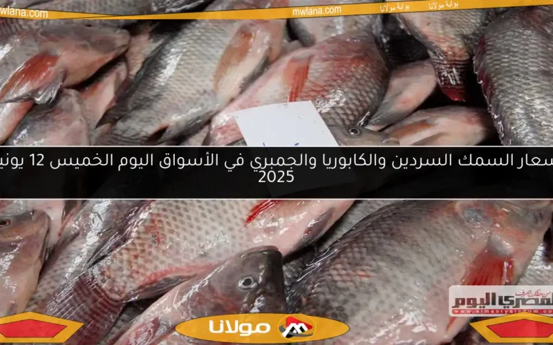 أسعار السمك السردين والكابوريا والجمبري في الأسواق اليوم الخميس 12 يونيو 2025