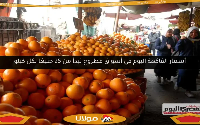 أسعار الفاكهة اليوم في أسواق مطروح تبدأ من 25 جنيهًا لكل كيلو