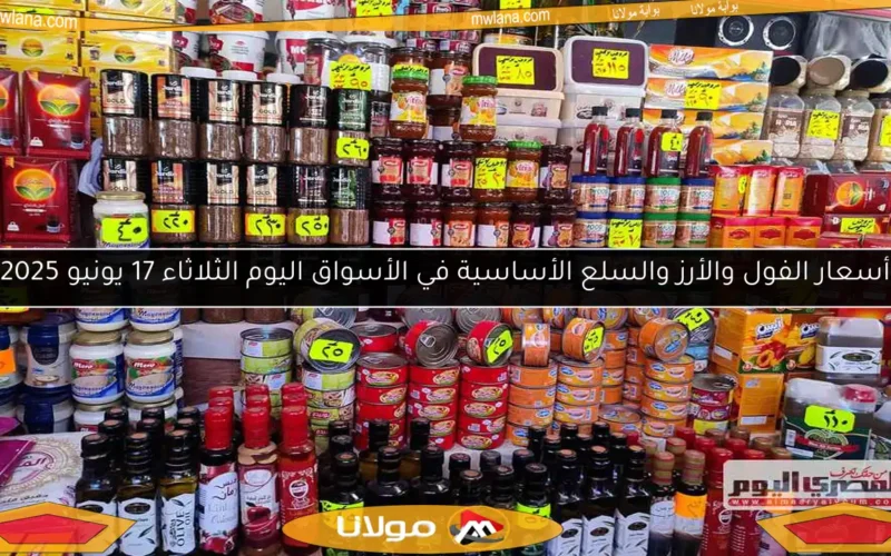 أسعار الفول والأرز والسلع الأساسية في الأسواق اليوم الثلاثاء 17 يونيو 2025