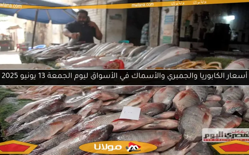 أسعار الكابوريا والجمبري والأسماك في الأسواق ليوم الجمعة 13 يونيو 2025