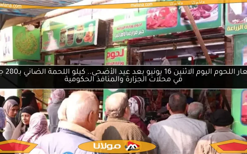 أسعار اللحوم اليوم الاثنين 16 يونيو بعد عيد الأضحى.. كيلو اللحمة الضاني بـ280 جنيه في محلات الجزارة والمنافذ الحكومية