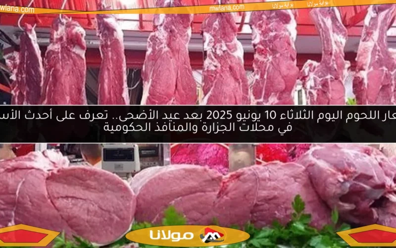 أسعار اللحوم اليوم الثلاثاء 10 يونيو 2025 بعد عيد الأضحى.. تعرف على أحدث الأسعار في محلات الجزارة والمنافذ الحكومية
