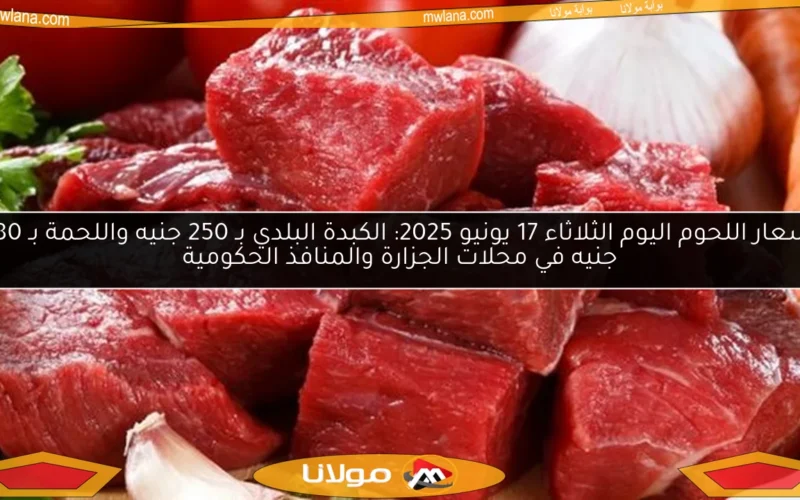 أسعار اللحوم اليوم الثلاثاء 17 يونيو 2025: الكبدة البلدي بـ 250 جنيه واللحمة بـ 280 جنيه في محلات الجزارة والمنافذ الحكومية