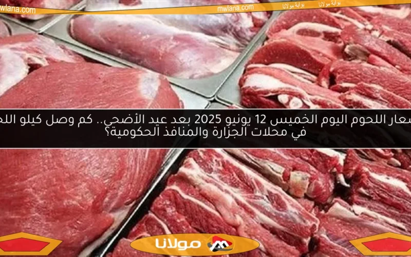 أسعار اللحوم اليوم الخميس 12 يونيو 2025 بعد عيد الأضحى.. كم وصل كيلو اللحم في محلات الجزارة والمنافذ الحكومية؟