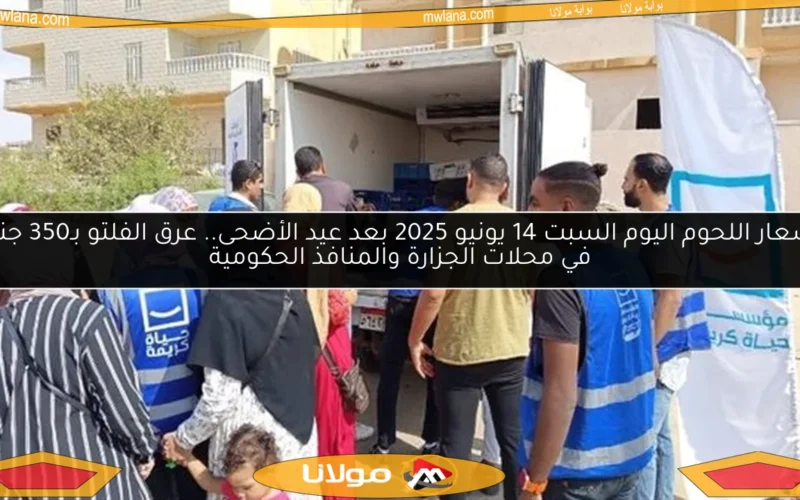 أسعار اللحوم اليوم السبت 14 يونيو 2025 بعد عيد الأضحى.. عرق الفلتو بـ350 جنيه في محلات الجزارة والمنافذ الحكومية