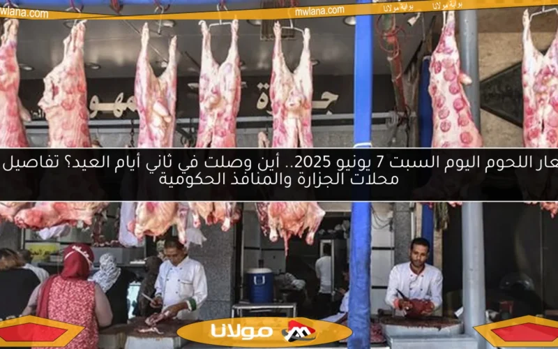 أسعار اللحوم اليوم السبت 7 يونيو 2025.. أين وصلت في ثاني أيام العيد؟ تفاصيل من محلات الجزارة والمنافذ الحكومية
