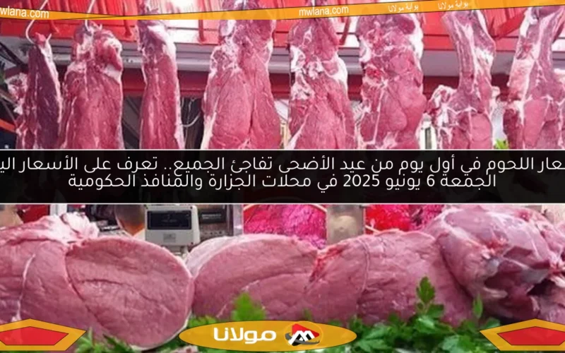 أسعار اللحوم في أول يوم من عيد الأضحى تفاجئ الجميع.. تعرف على الأسعار اليوم الجمعة 6 يونيو 2025 في محلات الجزارة والمنافذ الحكومية