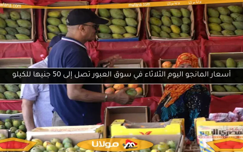 أسعار المانجو اليوم الثلاثاء في سوق العبور تصل إلى 50 جنيها للكيلو