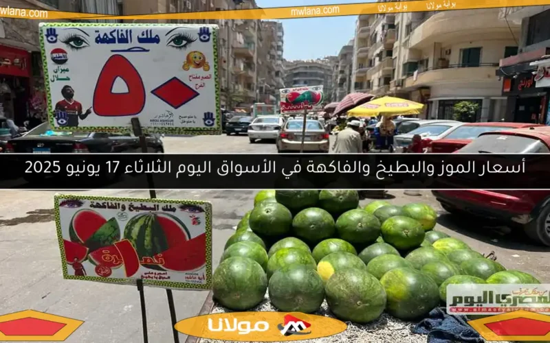 أسعار الموز والبطيخ والفاكهة في الأسواق اليوم الثلاثاء 17 يونيو 2025