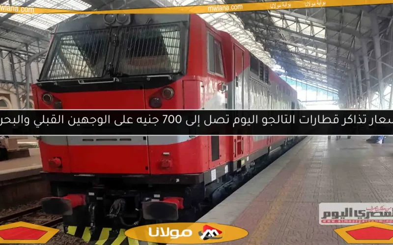 أسعار تذاكر قطارات التالجو اليوم تصل إلى 700 جنيه على الوجهين القبلي والبحري