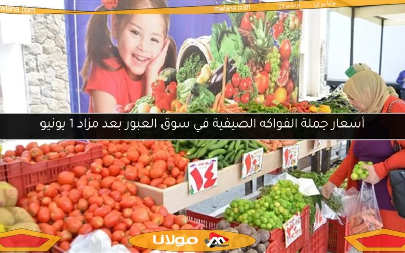 أسعار جملة الفواكه الصيفية في سوق العبور بعد مزاد 1 يونيو