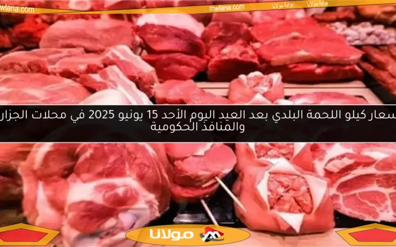 أسعار كيلو اللحمة البلدي بعد العيد اليوم الأحد 15 يونيو 2025 في محلات الجزارة والمنافذ الحكومية