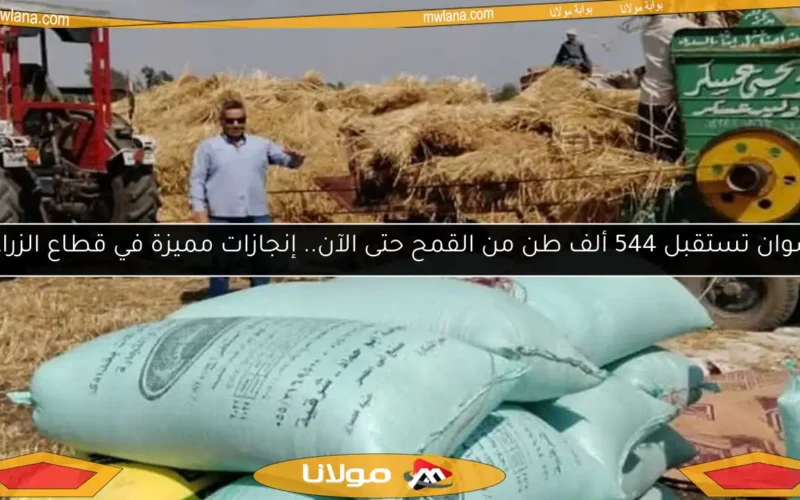أسوان تستقبل 544 ألف طن من القمح حتى الآن.. إنجازات مميزة في قطاع الزراعة