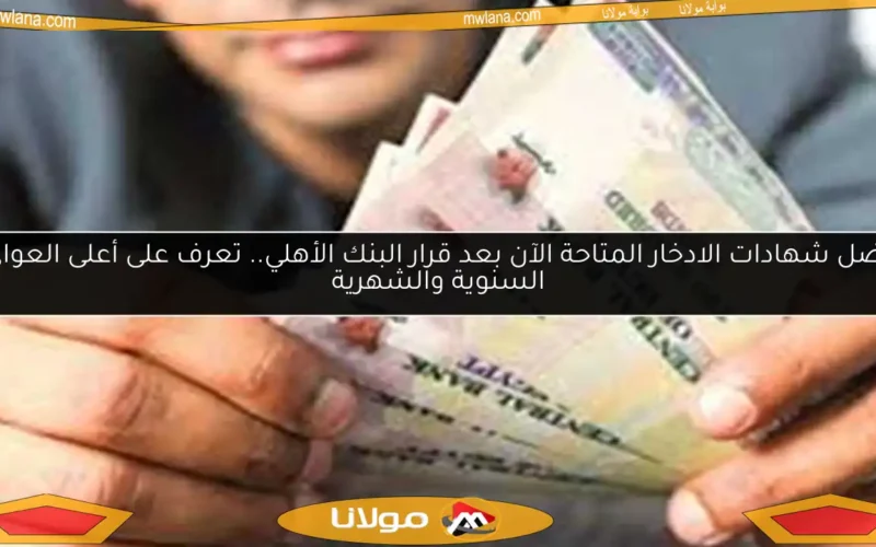 أفضل شهادات الادخار المتاحة الآن بعد قرار البنك الأهلي.. تعرف على أعلى العوائد السنوية والشهرية
