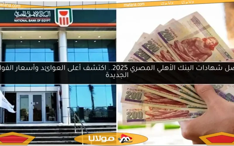 أفضل شهادات البنك الأهلي المصري 2025.. اكتشف أعلى العوائد وأسعار الفوائد الجديدة