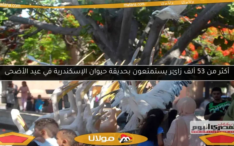 أكثر من 53 ألف زائر يستمتعون بحديقة حيوان الإسكندرية في عيد الأضحى