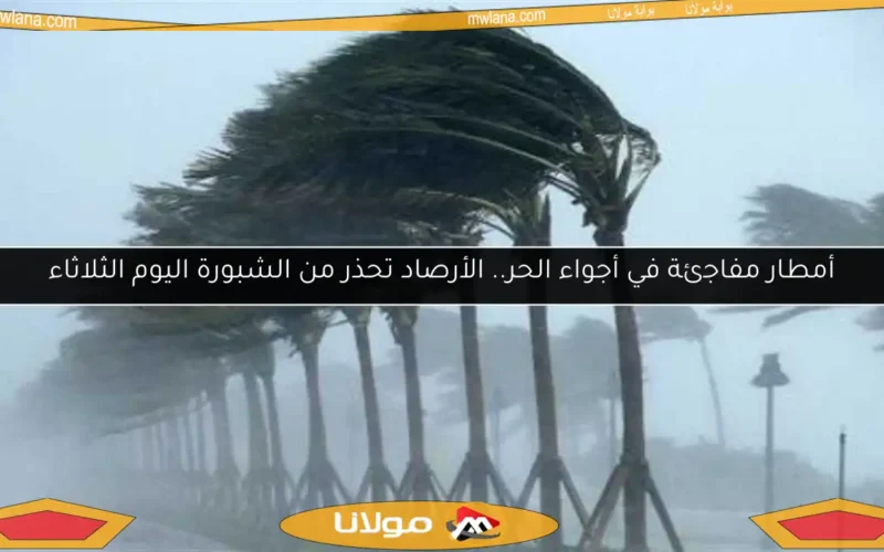 أمطار مفاجئة في أجواء الحر.. الأرصاد تحذر من الشبورة اليوم الثلاثاء