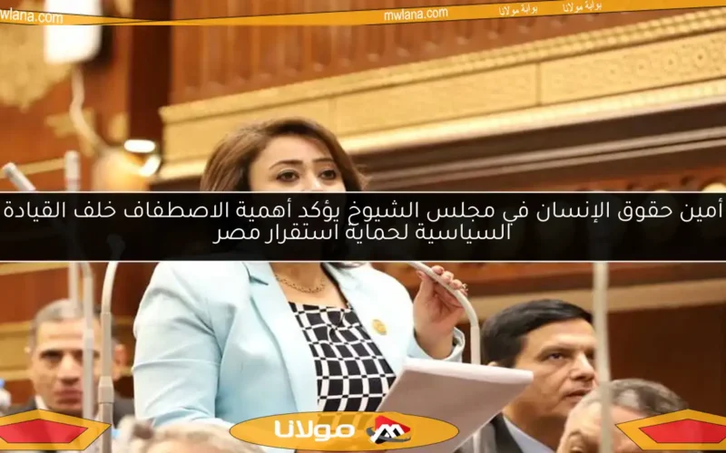 أمين حقوق الإنسان في مجلس الشيوخ يؤكد أهمية الاصطفاف خلف القيادة السياسية لحماية استقرار مصر