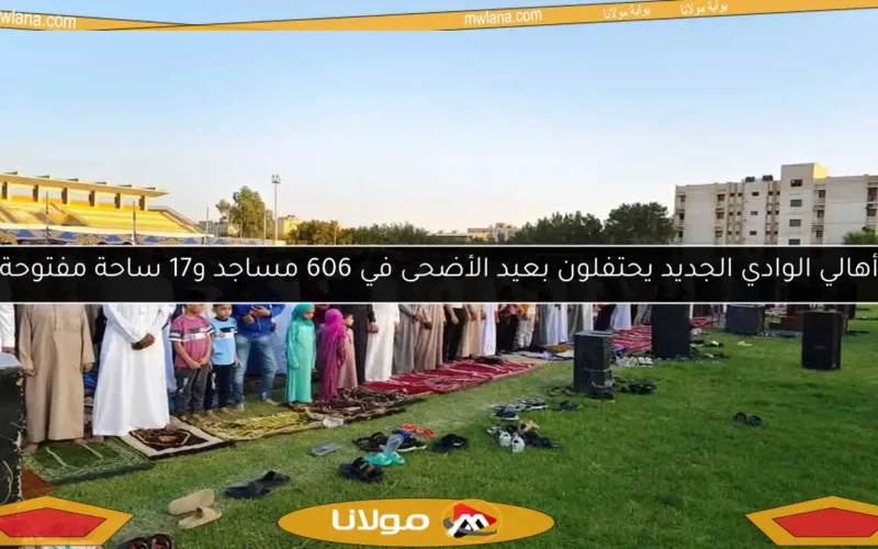 أهالي الوادي الجديد يحتفلون بعيد الأضحى في 606 مساجد و17 ساحة مفتوحة