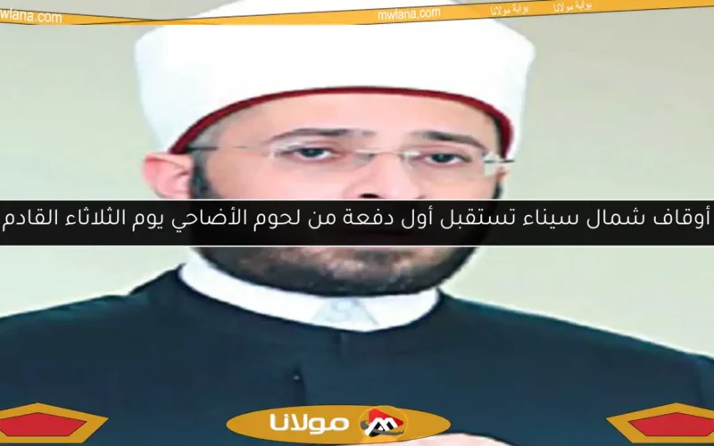 أوقاف شمال سيناء تستقبل أول دفعة من لحوم الأضاحي يوم الثلاثاء القادم