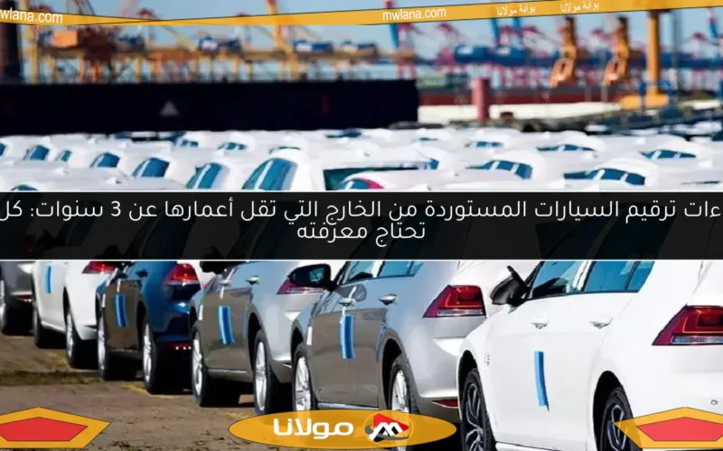 إجراءات ترقيم السيارات المستوردة من الخارج التي تقل أعمارها عن 3 سنوات: كل ما تحتاج معرفته