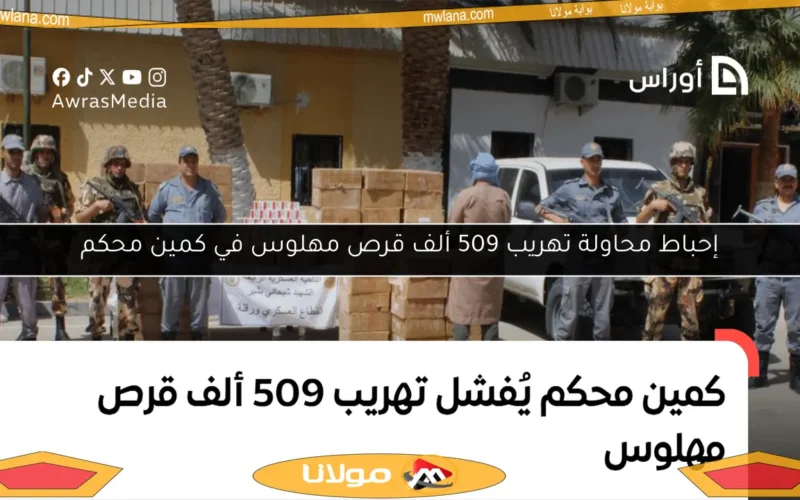 إحباط محاولة تهريب 509 ألف قرص مهلوس في كمين محكم