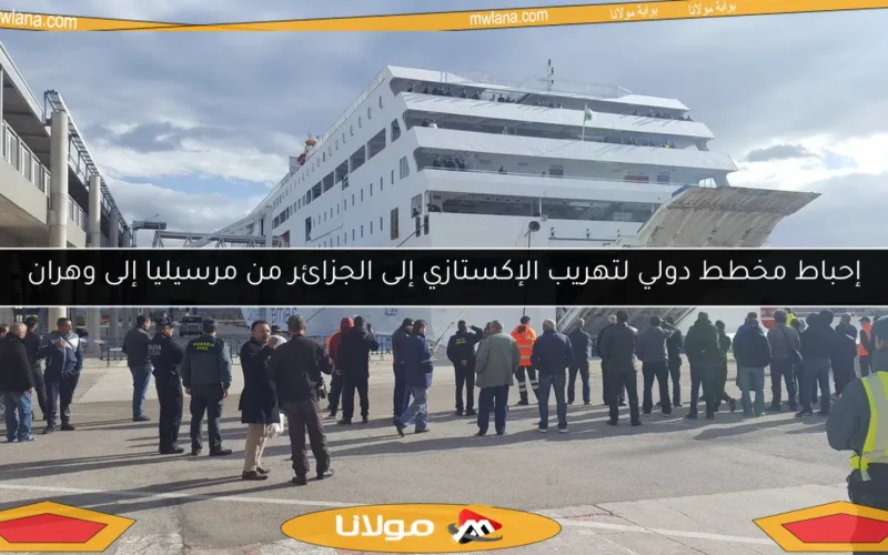 إحباط مخطط دولي لتهريب الإكستازي إلى الجزائر من مرسيليا إلى وهران